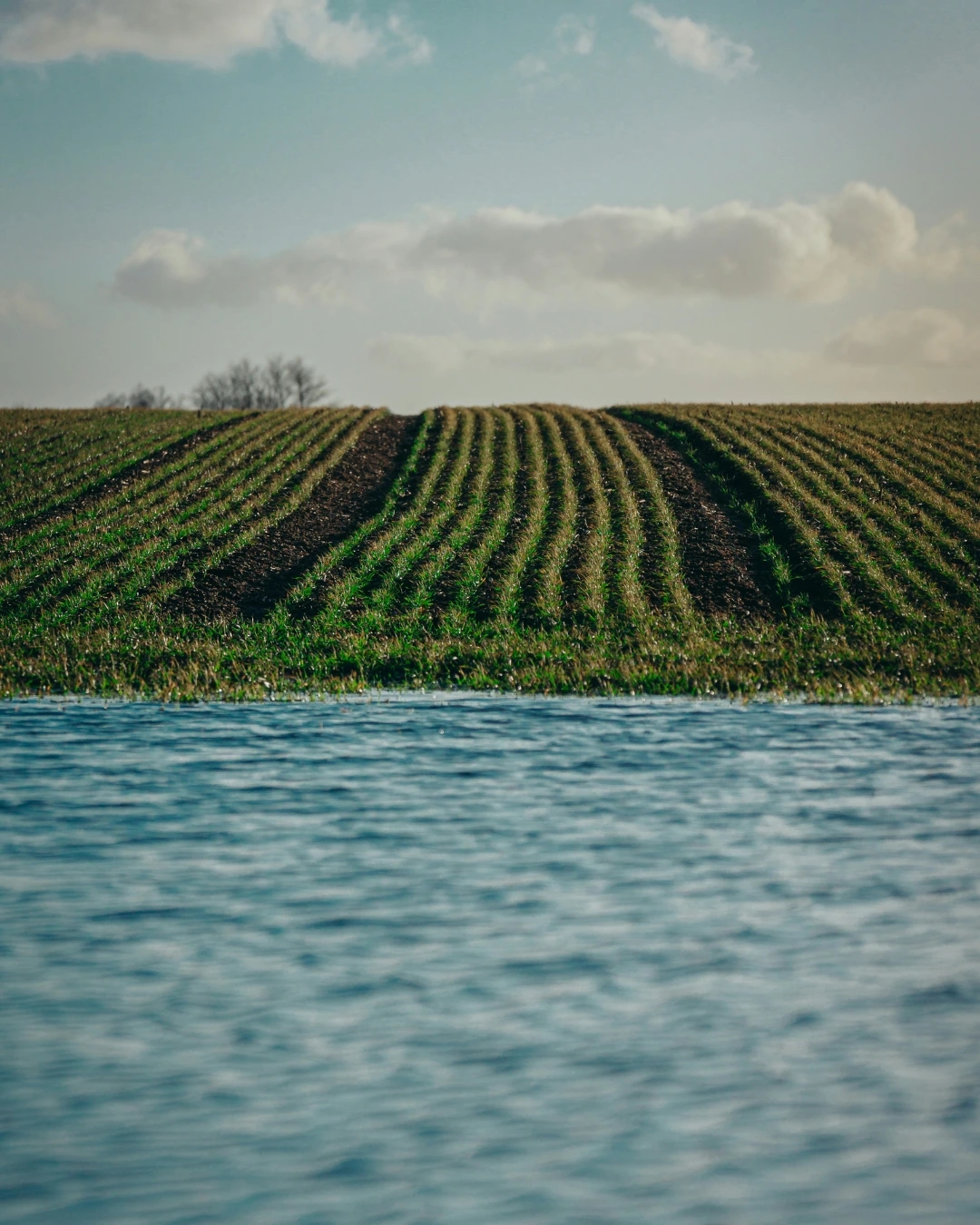 Imagem alusiva à resiliência hídrica, com campo agrícola cultivado junto a uma massa de água