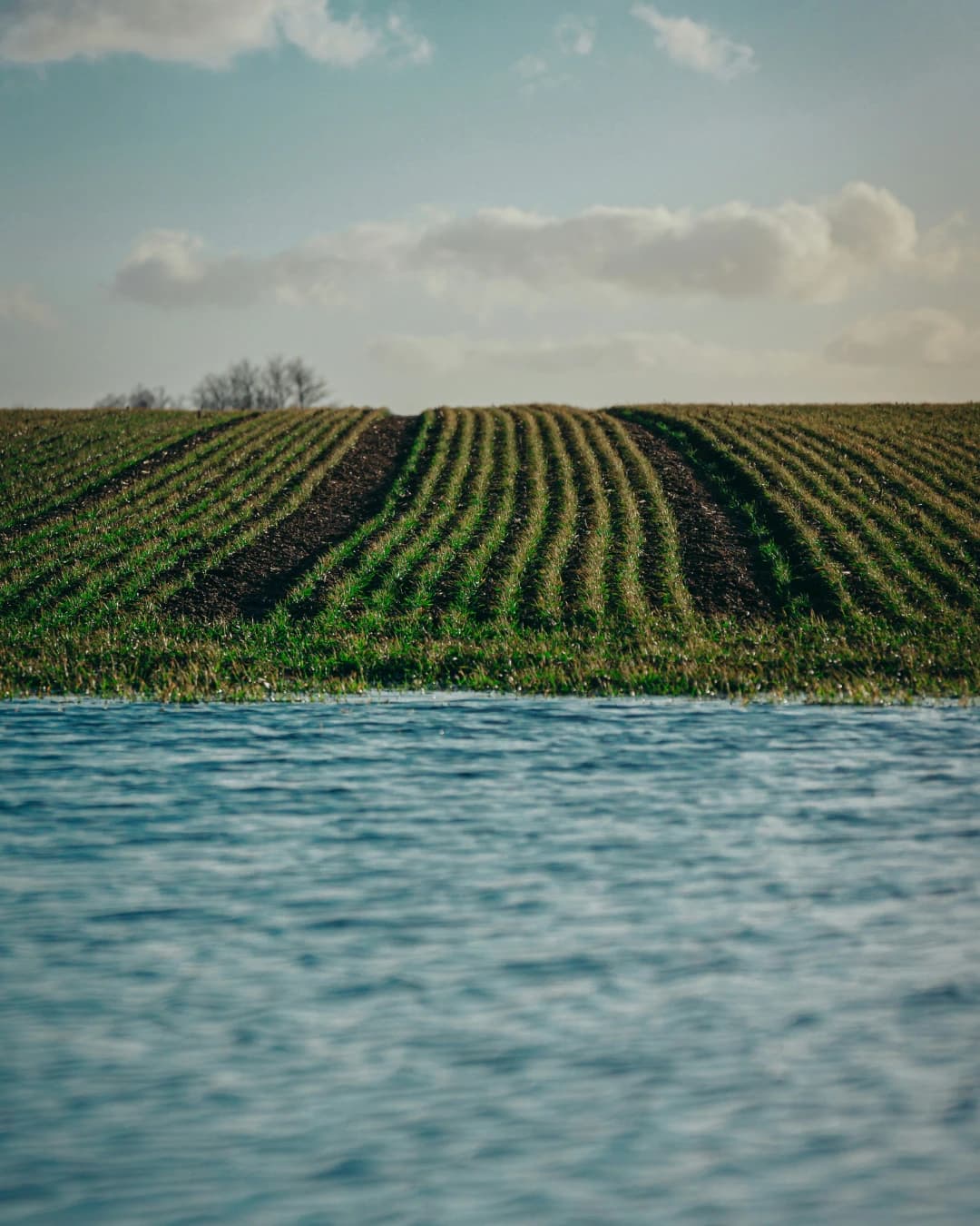 Imagem alusiva à resiliência hídrica, com campo agrícola cultivado junto a uma massa de água